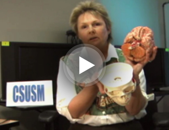 Excellence in Distance Education Winner - California State University San Marcos